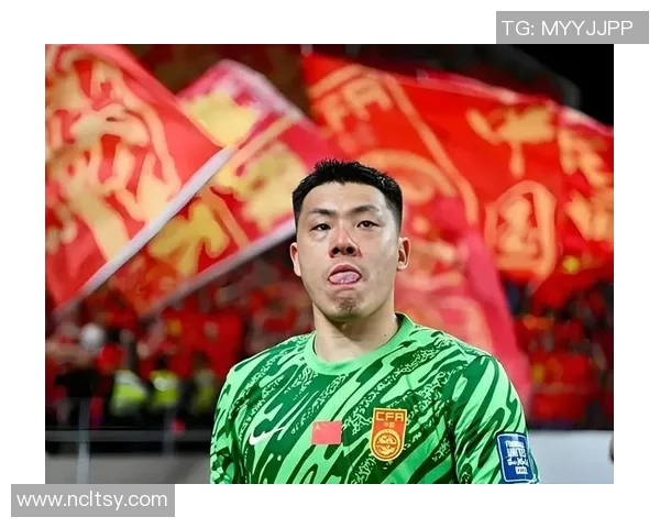 中国足球老将实力榜单揭晓明星球员风采与成就回顾